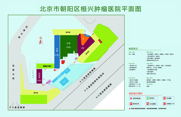 操Bxx网站北京市朝阳区桓兴肿瘤医院平面图